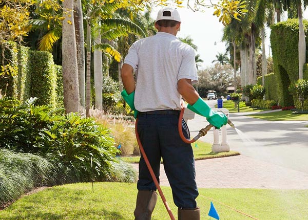 About Lancaster OH Pest Control